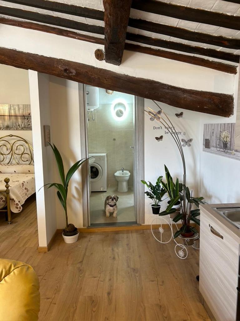 Bagnoregio Apartment You&Me Экстерьер фото